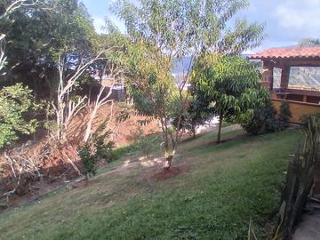 Venta hermosa Finca, vereda El Noral, Copacabana Antioquia.