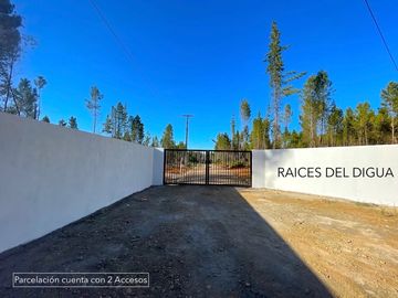 PARCELAS EN PARRAL, 5000M2, RAÍCES DEL DIGUA, AUTORIZADO SAG, AGUA POTABLE Y LUZ