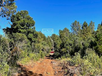 PARCELAS EN PARRAL, 5000M2, RAÍCES DEL DIGUA, AUTORIZADO SAG, AGUA POTABLE Y LUZ