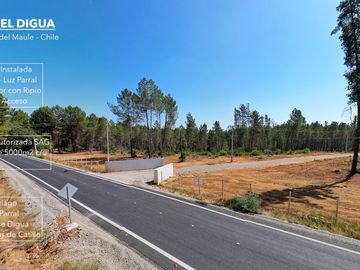 PARCELAS EN PARRAL, 5000M2, RAÍCES DEL DIGUA, AUTORIZADO SAG, AGUA POTABLE Y LUZ