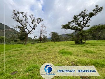 Vendo Quinta en Paute sector el Cabo