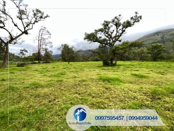 Vendo Quinta en Paute sector el Cabo