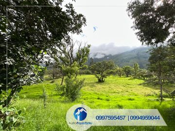 Vendo Quinta en Paute sector el Cabo