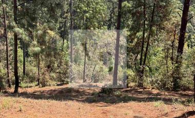 Venta de terreno en zona boscosa