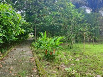 Venta Finca en Bucay Hacienda San Rafael - Rancho - F31