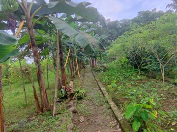 Venta Finca en Bucay Hacienda San Rafael - Rancho - F31