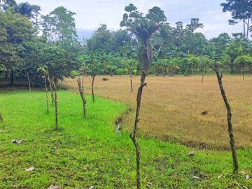 Venta Finca en Bucay Hacienda San Rafael - Rancho - F31