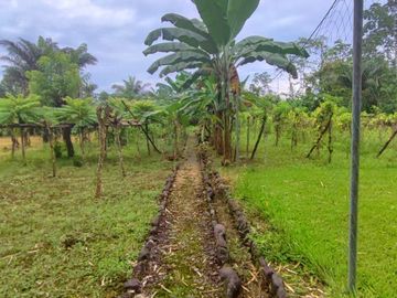 Venta Finca en Bucay Hacienda San Rafael - Rancho - F31