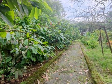 Venta Finca en Bucay Hacienda San Rafael - Rancho - F31