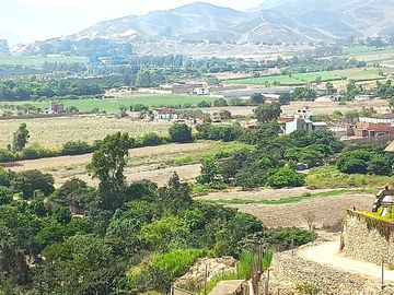 SE VENDE ESTUPENDA CASA EN PACHACAMAC *AMPLIO JARDÍN *TERRAZA *PISCINA *1.200 M2 *PRECIO DE OCASIÓN