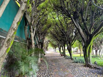 Casa Easy Living