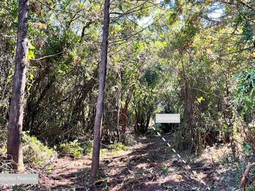Terrenos Con Agua Potable y Red Eléctrica, camino Asfaltado, LOTEO RAICES DEL DIGUA Parral