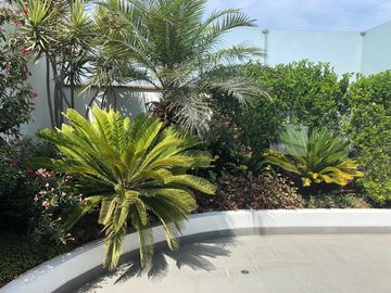 Venta Departamento Duplex en Chacarilla San Borja 420M2