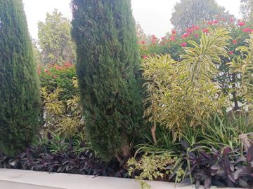 Venta Departamento Duplex en Chacarilla San Borja 420M2