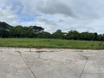 For Sale: 1400sqm Residential Lot in Manila Southwoods Residential Estates, Carmona Cavite, P49M