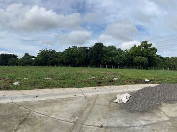 For Sale: 1220sqm Residential Lot in Manila Southwoods Residential Estates, Carmona Cavite, P42.7M