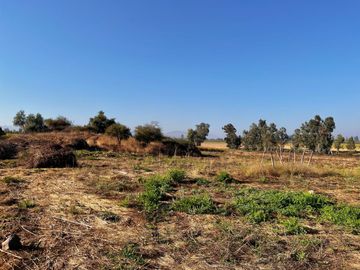 Se venden parcelas de 5.000m2 en La Montaña de Teno, Provincia de Curicó
