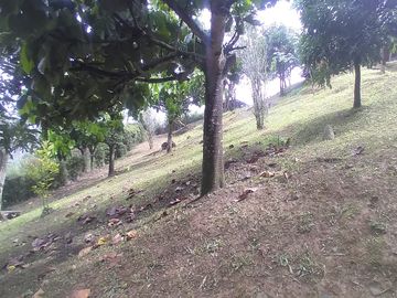Venta hermosa Casa Finca, Vereda Quebrada Arriba, Copacabana Antioquia.