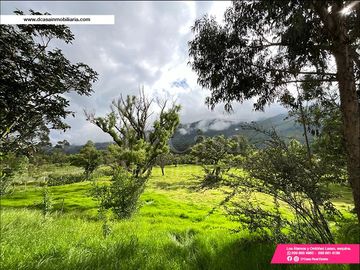 (C-401) CASA DE VENTA EN PAUTE SECTOR EL CABO – 7 DORMITORIOS CON 15500M2* DE TERRENO