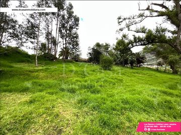 (C-401) CASA DE VENTA EN PAUTE SECTOR EL CABO – 7 DORMITORIOS CON 15500M2* DE TERRENO