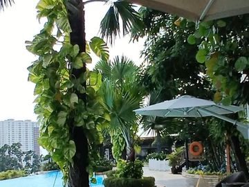 For Rent Apartment Studio Skandinavia Tangerang City, Brand New Furnished - Lake View