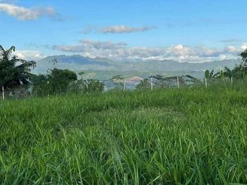 Residential lot for sale in Antipolo