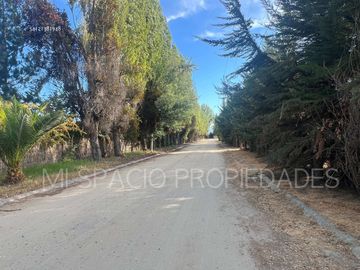Camino Loreto - Talagante - Calera de Tango