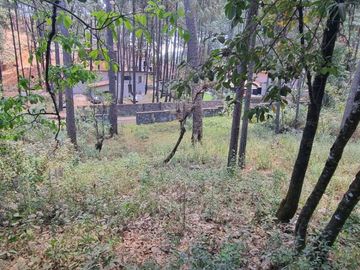 TERRENO CON ENTORNO DE BOSQUE EN VENTA.