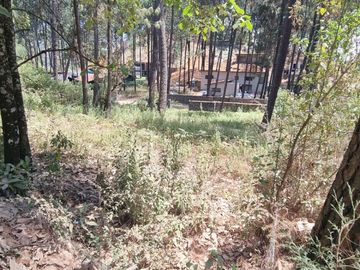 TERRENO CON ENTORNO DE BOSQUE EN VENTA.