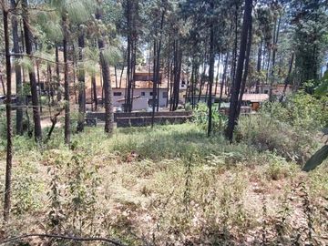 TERRENO CON ENTORNO DE BOSQUE EN VENTA.