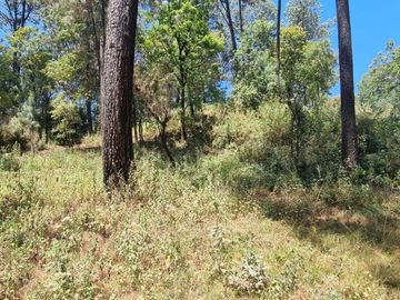 TERRENO CON ENTORNO DE BOSQUE EN VENTA.