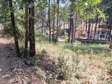 TERRENO CON ENTORNO DE BOSQUE EN VENTA.
