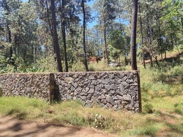 TERRENO CON ENTORNO DE BOSQUE EN VENTA.