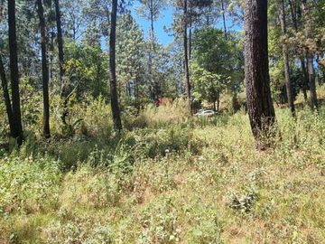 TERRENO CON ENTORNO DE BOSQUE EN VENTA.