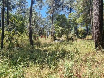 TERRENO CON ENTORNO DE BOSQUE EN VENTA.