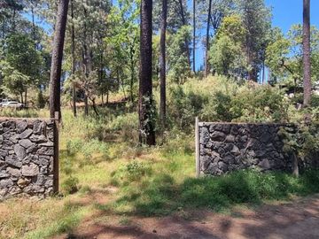 TERRENO CON ENTORNO DE BOSQUE EN VENTA.