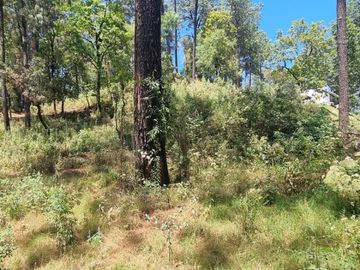 TERRENO CON ENTORNO DE BOSQUE EN VENTA.
