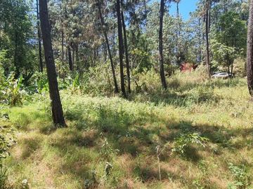 TERRENO CON ENTORNO DE BOSQUE EN VENTA.