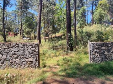 TERRENO CON ENTORNO DE BOSQUE EN VENTA.