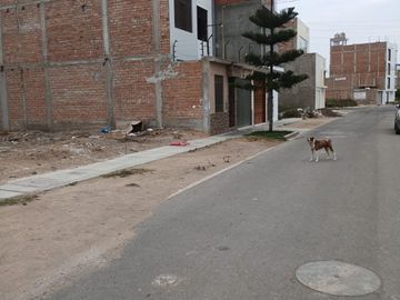 VENTA DE TERRENO EN URB. LOS SAUCES PRIMERA ETAPA