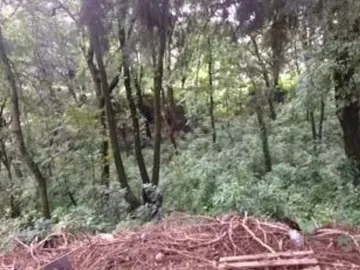 Santa María Ahuacatitlán Morelos Terreno Con Barda Perimetral A Bordo De Carretera