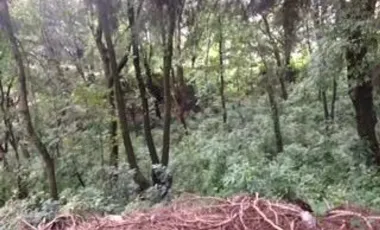 Santa María Ahuacatitlán Morelos Terreno Con Barda Perimetral A Bordo De Carretera