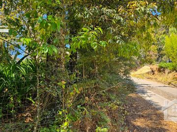 TERRENO EN CARBONERAS A 13 MINUTOS DE MINERAL DEL CHICO PUEBLO MÁGICO