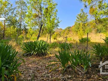 TERRENO EN CARBONERAS A 13 MINUTOS DE MINERAL DEL CHICO PUEBLO MÁGICO