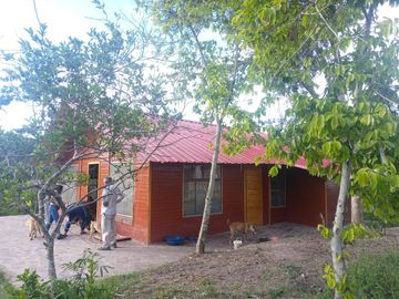 LOTES DE CASI MEDIA HECTAREA EN LAMAS