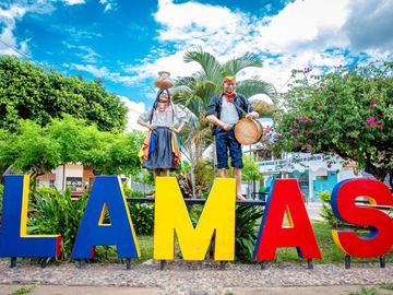 LOTES DE CASI MEDIA HECTAREA EN LAMAS