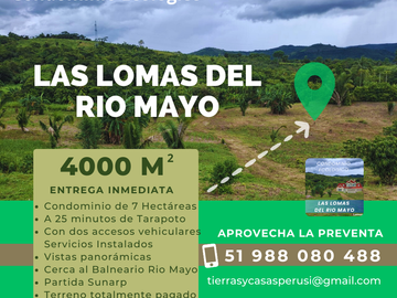 LOTES DE CASI MEDIA HECTAREA EN LAMAS