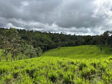 Haceinda de 80 Ha a 1 Hora y Media de Quito en Venta