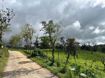 Haceinda de 80 Ha a 1 Hora y Media de Quito en Venta