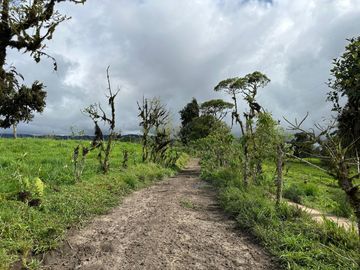 Haceinda de 80 Ha a 1 Hora y Media de Quito en Venta